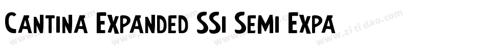 Cantina Expanded SSi Semi Expanded字体转换